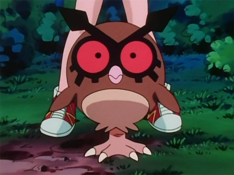 Hoothoot in the anime