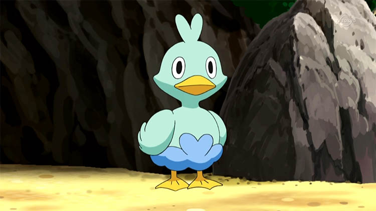 Ducklett in the anime