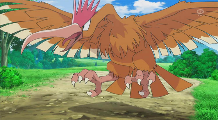 Fearow in the anime