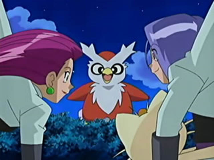 Delibird in the anime