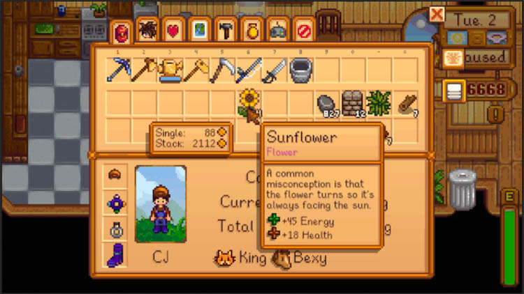 40 Best Mods For Stardew Valley Players   FandomSpot - 17