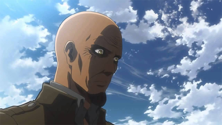 The Best Bald Anime Characters  Lady Alopecia