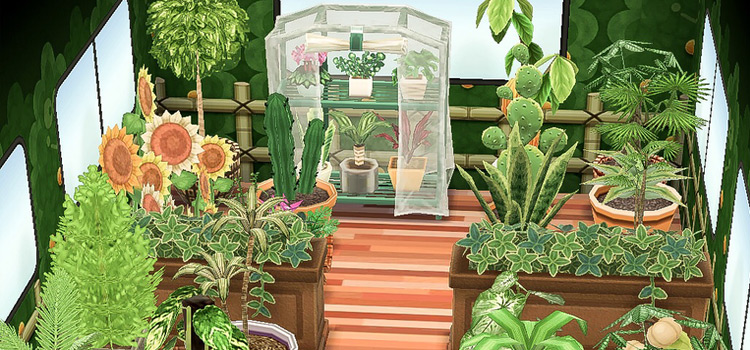 Animal Crossing New Horizons Greenhouse Ideas Inspo Fandomspot