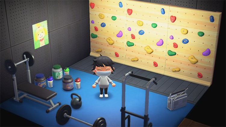 Home Gym in Basement - ACNH Idea