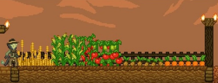 Compact Crops Mod for Starbound