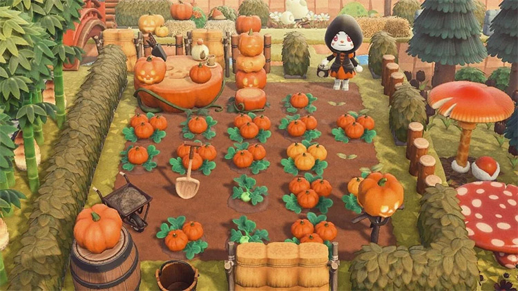 Pumpkin Patch Design in ACNH