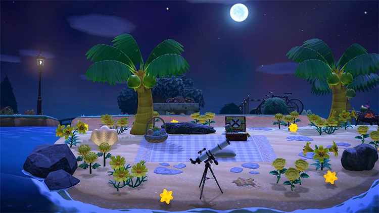 Stargazing on the Beach - ACNH Idea