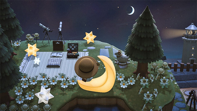 Stargazing and a Picnic - ACNH Idea