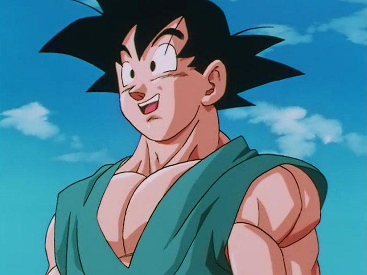 Goku from Dragon Ball Z anime