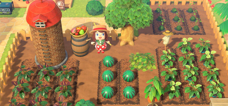 Acnh Farm Island Ideas Flowers Fruits Crops More Fandomspot