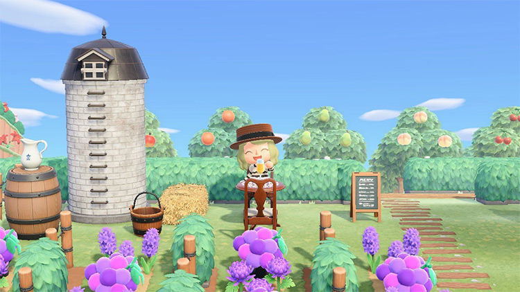 Vineyard with Grapes Design in Animal Crossing New Horizons