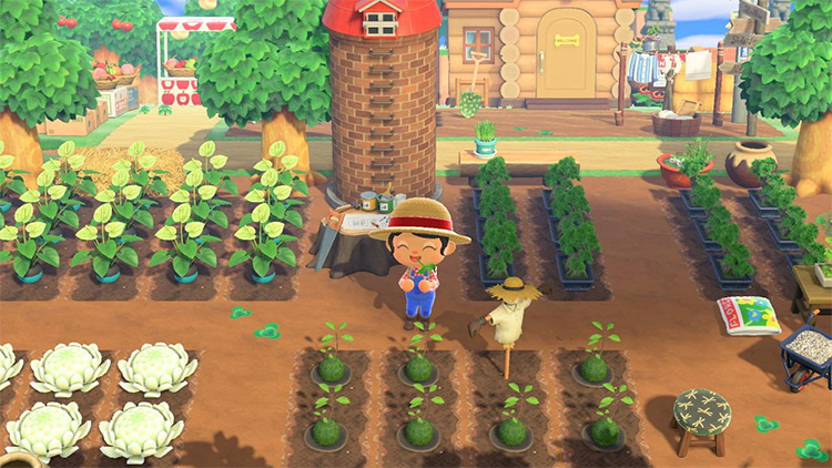 ACNH Farm Island Ideas  Flowers  Fruits  Crops   More   FandomSpot - 48