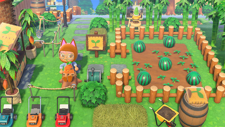 Melon Patch Farm Area in ACNH