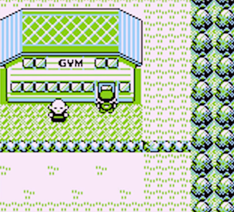 Outside Viridian Gym in Pokemon Yellow