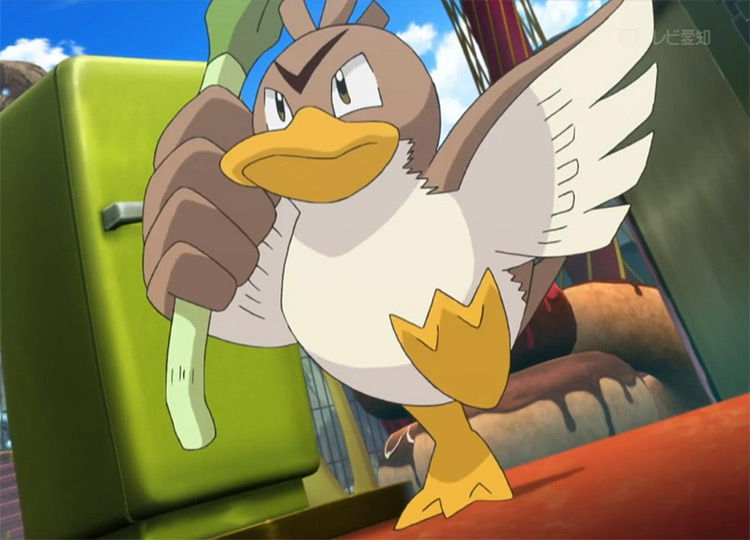 Farfetchd in the Pokemon anime