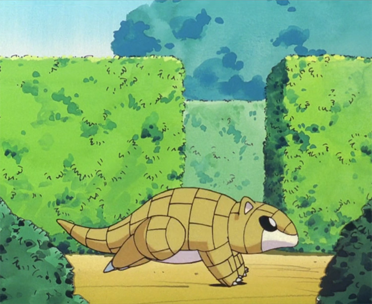 Sandshrew running in the Pokemon anime