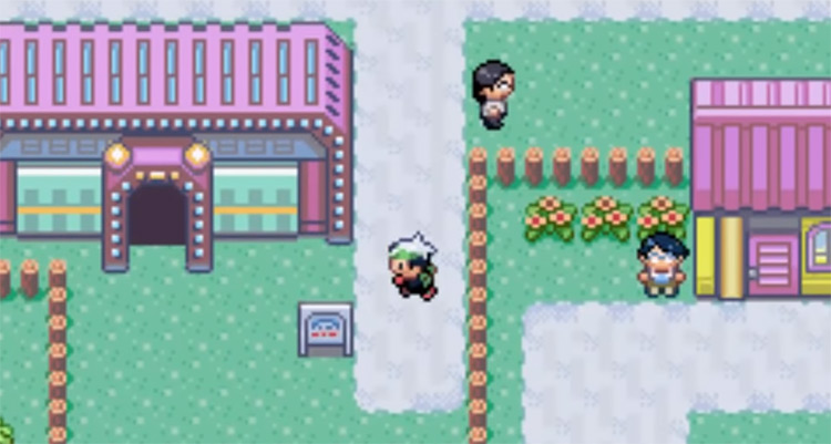 How To Get Tm Solar Beam In Pokemon Emerald - The Best Picture Of Beam