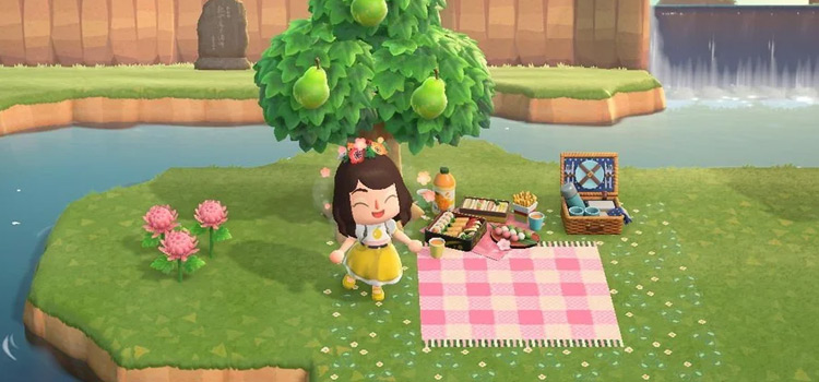 15 Picnic Area Ideas For Animal Crossing: New Horizons – FandomSpot