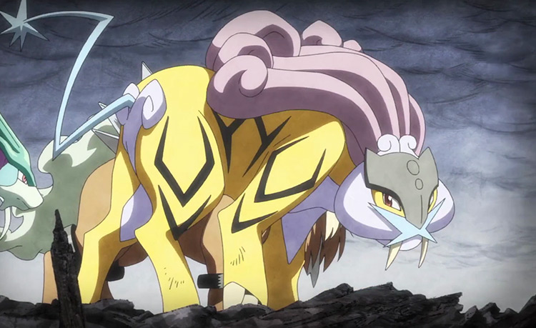 Raikou from Pokemon anime