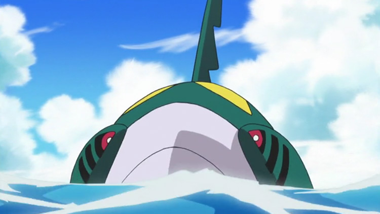 Sharpedo in Pokemon anime