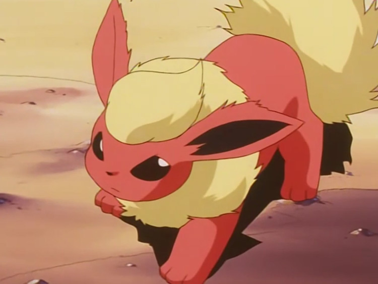 Flareon in Pokemon anime