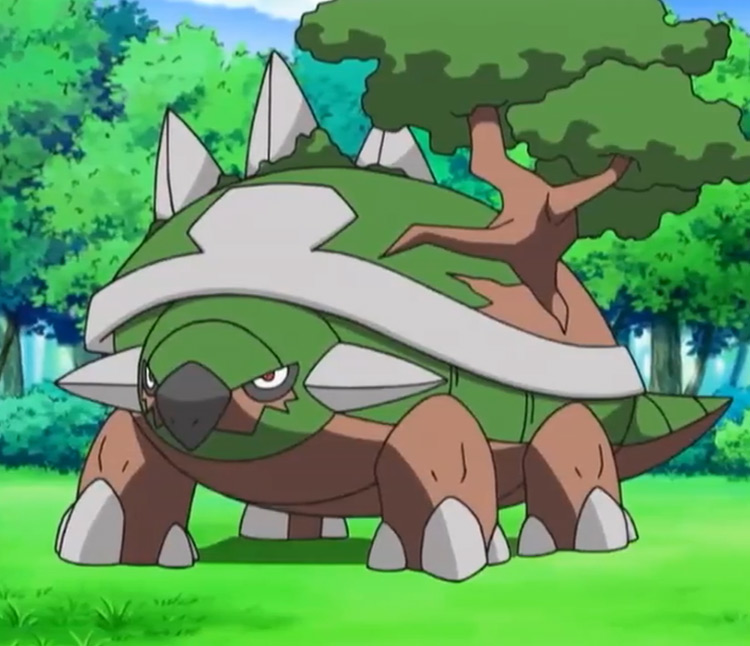 Torterra in Pokemon anime