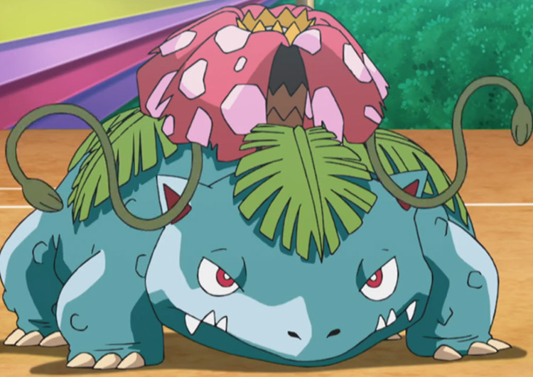 Venusaur Pokemon anime screenshot