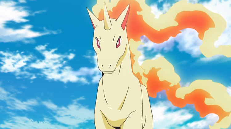 Rapidash Pokemon anime screenshot