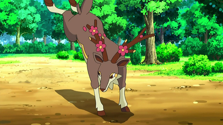 Sawsbuck in Pokemon anime