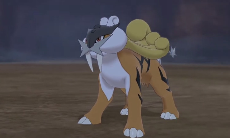Shiny Raikou in Pokémon Sword and Shield