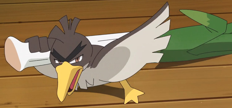 Farfetch'd (Galar), Victory Road Wiki