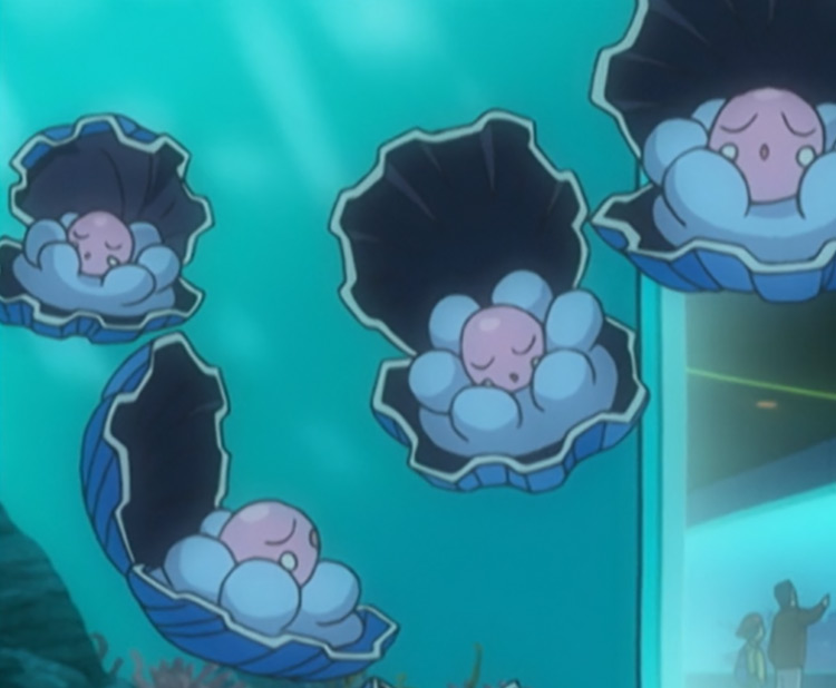 Clamperl in the Pokémon anime