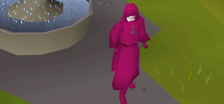 Player wearing H.A.M. Robes Set in OSRS