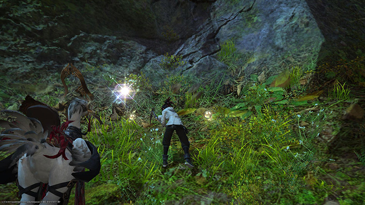 Gathering staples of Elpis in the World Unsundered. For science. / FFXIV