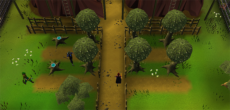Player woodcutting inside the guild / OSRS