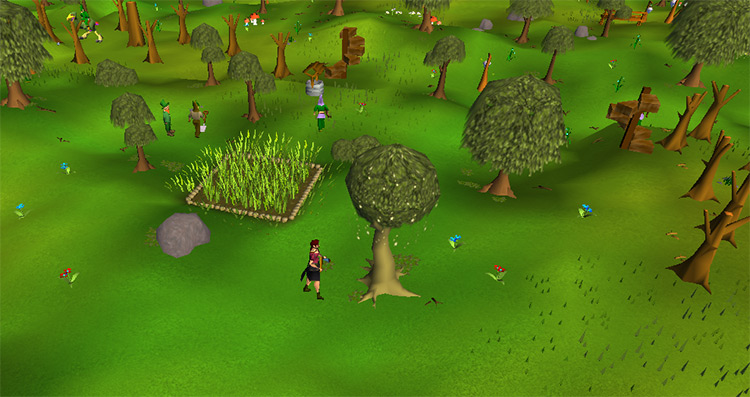 Woodcutting with the gnomes / OSRS