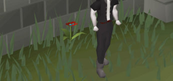 Player wearing Climbing Boots in Old School RuneScape