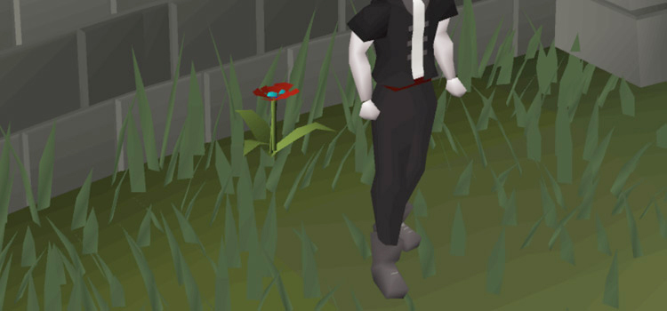 Player wearing Climbing Boots in Old School RuneScape