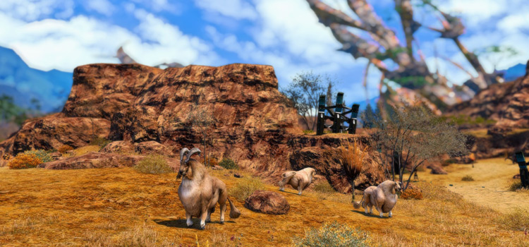 Aldgoats grazing in Eastern Thanalan (FFXIV)