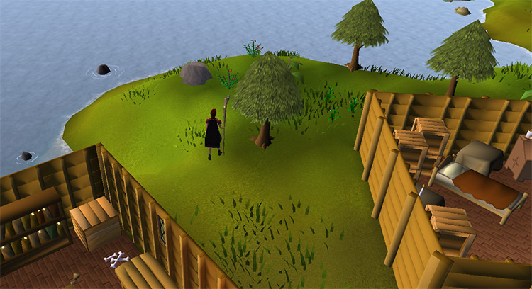 Standing West of Land’s End / OSRS