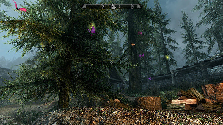 Butterfly Hatchery for Lakeview Manor mod for Skyrim