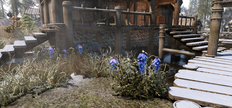 Deathbell Plants in Morthal (Skyrim)