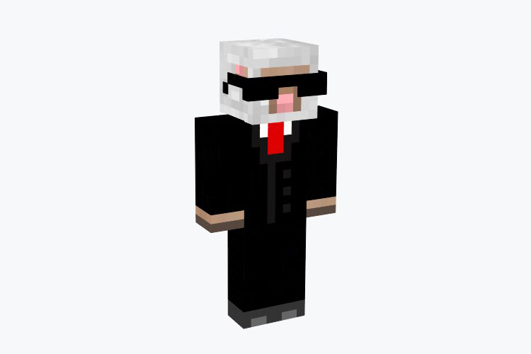 The Best Minecraft Skins with Sunglasses  Boys   Girls    FandomSpot - 67