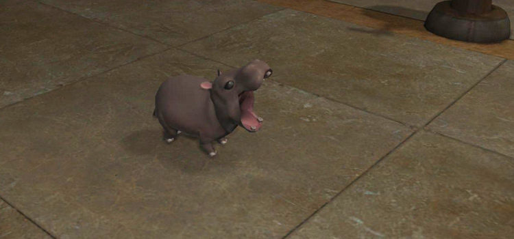 How To Get The Hippo Calf Minion in FFXIV
