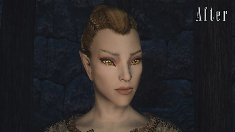 Skyrim  Best Elf Beauty   Cosmetic Mods  All Free    FandomSpot - 55