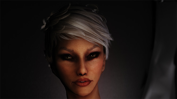 Skyrim  Best Elf Beauty   Cosmetic Mods  All Free    FandomSpot - 68