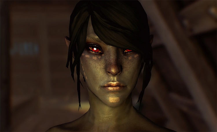 Skyrim  Best Elf Beauty   Cosmetic Mods  All Free    FandomSpot - 52