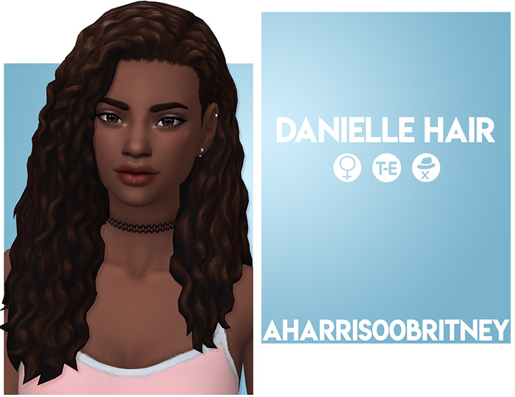 Danielle Hair / Sims 4 CC