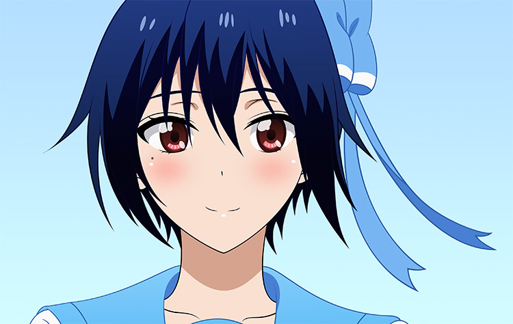 Seishirou Tsugumi from Nisekoi