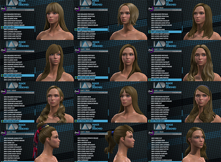 SR4 Hairstyles for SR3 mod